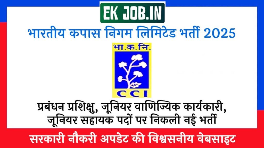 CCI Junior Commercial Executive Vacancy 2025