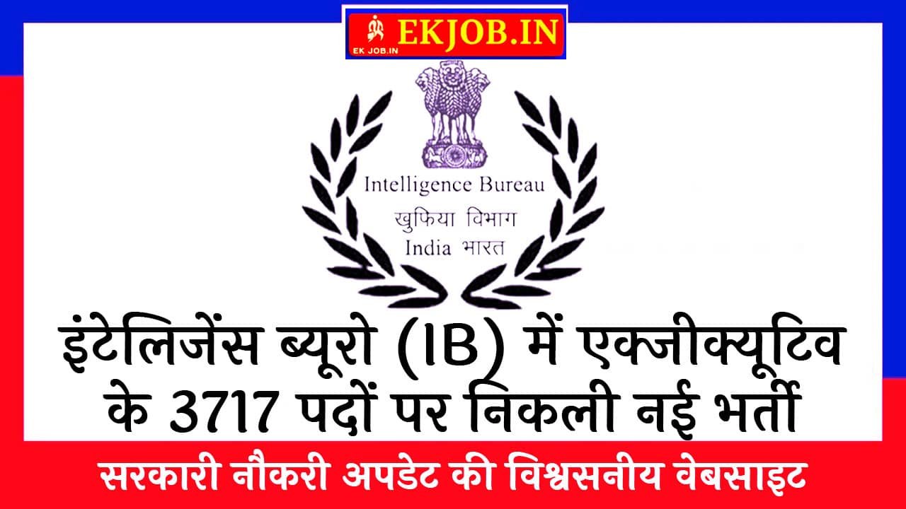 IB Executive Vacancy 2025