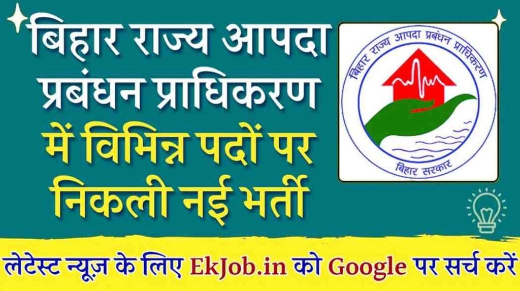 Bihar BSDMA Various Posts Recruitment 2025