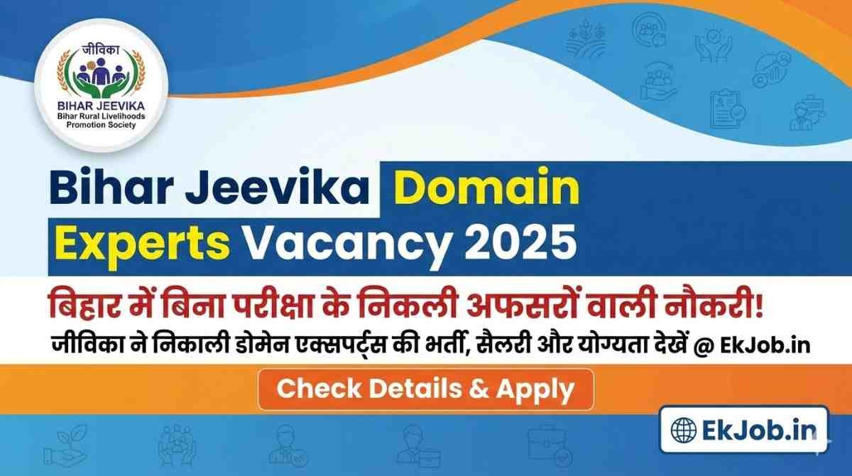 Bihar Jeevika Domain Experts Recruitment 2025