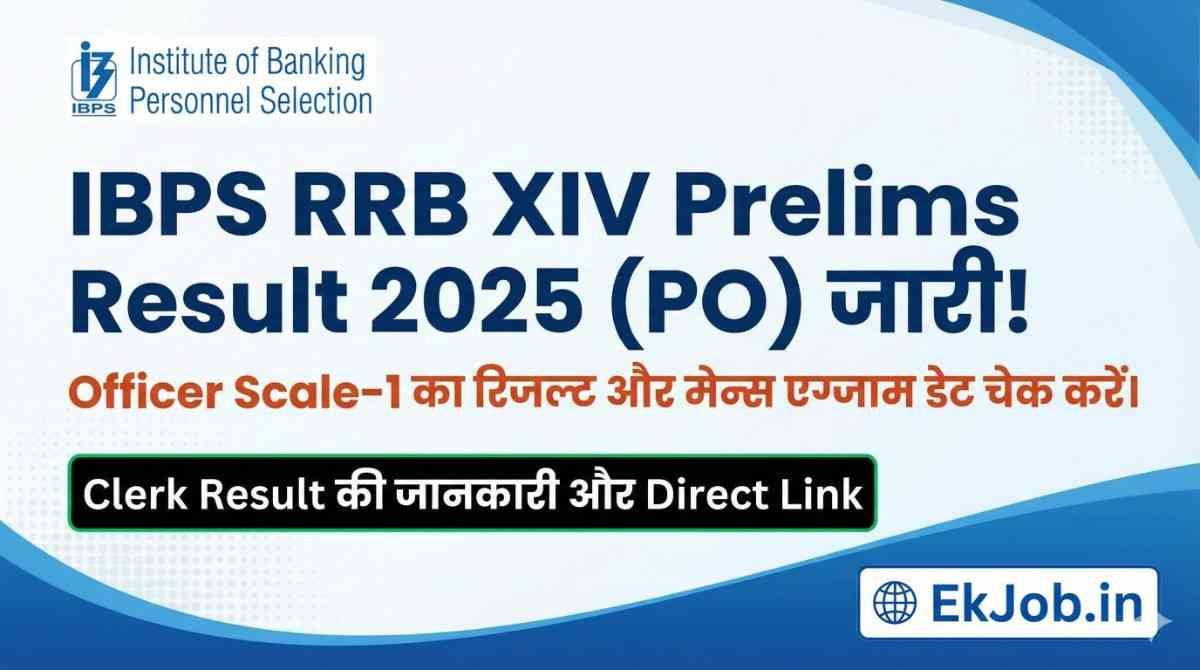 IBPS RRB XIV Prelims Result 2025